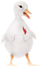 icone Canard EM